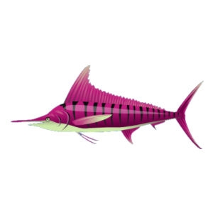 Pink Striped Marlin